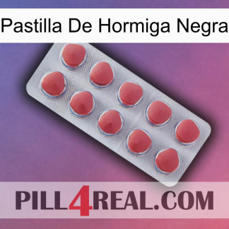 Black Ant Pill 18